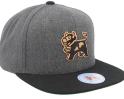 Sale Hatstore Arla Logo Charcoal/Black Snapback -