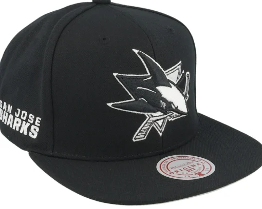 Snapback-Mitchell & Ness Brooklyn Nets Evergreen /White Snapback - Black