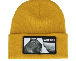 New Iconic Capybara Sofa Beanie Cuff - Black