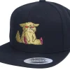 Best Iconic Cat Bummer Black Snapback -