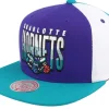 Snapback-Mitchell & Ness Charlotte Hornets Billboard 2 Hwc /Teal Snapback - Purple