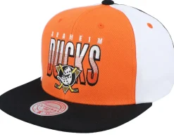Snapback-Mitchell & Ness Charlotte Hornets Billboard 2 Hwc /Teal Snapback - Purple