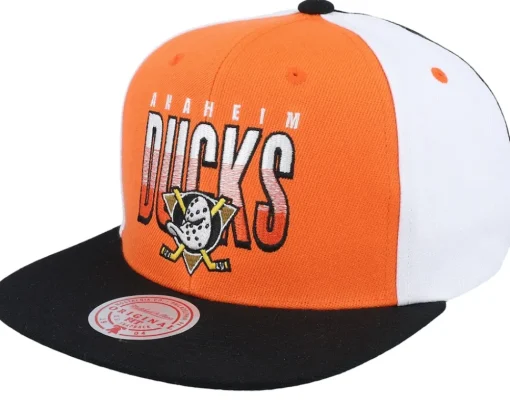 Snapback-Mitchell & Ness Charlotte Hornets Billboard 2 Hwc /Teal Snapback - Purple