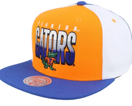 Snapback-Mitchell & Ness Charlotte Hornets Billboard 2 Hwc /Teal Snapback - Purple