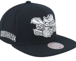 Snapback-Mitchell & Ness Charlotte Hornets Evergreen /White Snapback - Black