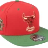 Hot Mitchell & Ness Chicago Bulls Nightmare /Green Fitted - Red