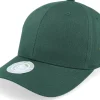 Adjustable-Iconic Crown Side Embroidered Moss Green Adjustable -
