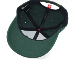 Adjustable-Iconic Crown Side Embroidered Moss Green Adjustable -