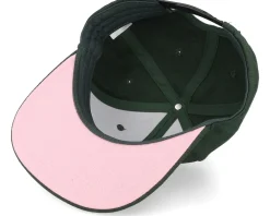 Blanks-Equip Dark /Pink Snapback - Green