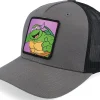 Trucker-TMNT Donatello Box /Black A-Frame Trucker - Grey
