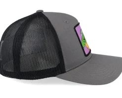 Trucker-TMNT Donatello Box /Black A-Frame Trucker - Grey