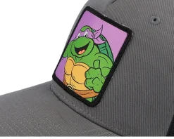 Trucker-TMNT Donatello Box /Black A-Frame Trucker - Grey