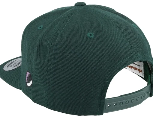 Snapback-TMNT Donatello Face Dark Snapback - Green