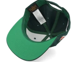 Snapback-TMNT Donatello Face Dark Snapback - Green