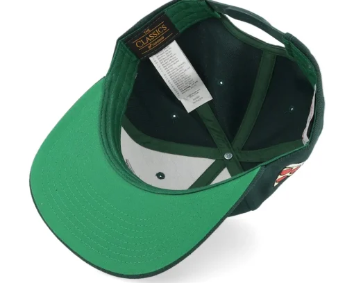 Snapback-TMNT Donatello Face Dark Snapback - Green