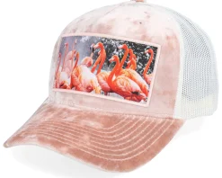 Trucker-Calza Pennello Flamingo Velvet Peach/Ivory A-frame Trucker -