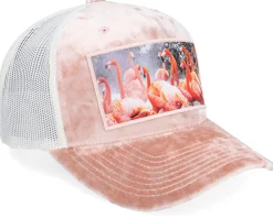 Trucker-Calza Pennello Flamingo Velvet Peach/Ivory A-frame Trucker -