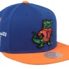 Snapback-Mitchell & Ness Florida Gators Team Origins /Orange Snapback - Blue