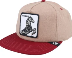 Best Goorin Bros. Free Rider Wildlife Tan Snapback -
