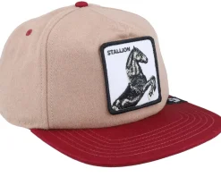 Best Goorin Bros. Free Rider Wildlife Tan Snapback -