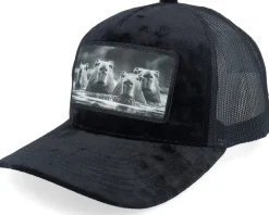 Trucker-Calza Pennello Gang Of Capybara Patch Velvet Trucker - Black