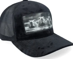 Trucker-Calza Pennello Gang Of Capybara Patch Velvet Trucker - Black