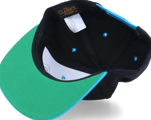 Outlet Scenes Get Schwifty Black/Teal Snapback -