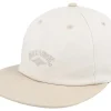 Best Billabong Global Arch Vintage Brown Strapback -