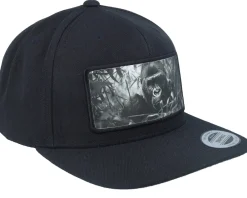 Best Calza Pennello Gorilla Big Patch Black Snapback -