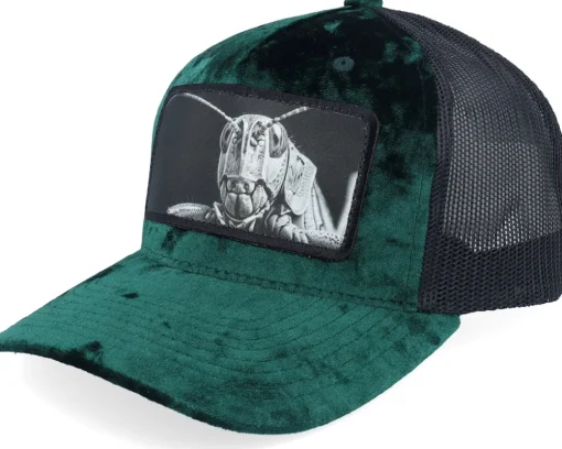 Trucker-Calza Pennello Grasshopper Big Patch /Black Velvet Trucker - Green