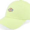Dad Cap-Dickies Hardwick Pale Dad Cap - Green