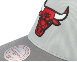 Trucker-Mitchell & Ness Hatstore Exclusive x Chicago Bulls Iron/Black Trucker - Grey
