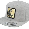 Snapback-Kiddo Cap Kids Dino Gold Patch Heather Grey Snapback -