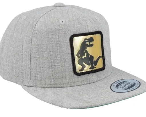 Snapback-Kiddo Cap Kids Dino Gold Patch Heather Grey Snapback -