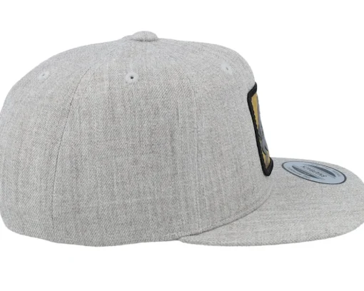 Snapback-Kiddo Cap Kids Dino Gold Patch Heather Grey Snapback -