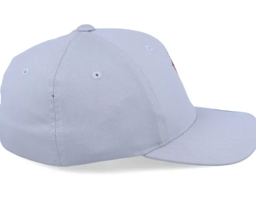 Clearance Kiddo Cap Kids Donut Grow Up Silver Flexfit -