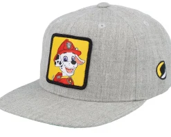 Snapback-PAW Patrol Kids Marshall Patch Snapback - Black