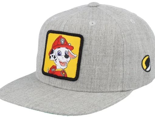 Snapback-PAW Patrol Kids Marshall Patch Snapback - Black