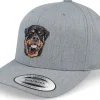 Kids-Kiddo Cap Kids Rottweiler Dog Patch Heather Adjustable - Grey