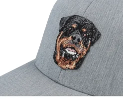 Kids-Kiddo Cap Kids Rottweiler Dog Patch Heather Adjustable - Grey