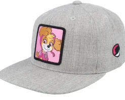 Snapback-PAW Patrol Kids Skye Patch Heather Snackback - Grey