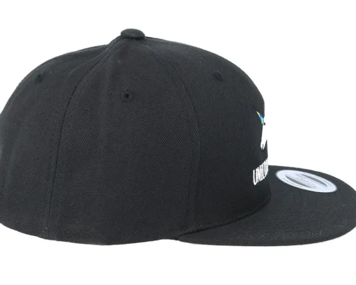 Hot Unicorns Kids Unicorn Are Real Black Snapback -