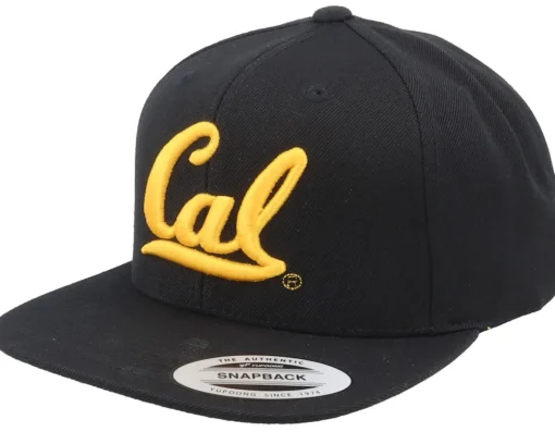 Snapback-Park Fields Michigan Wolverines 3d Logo Tan Snapback - Brown