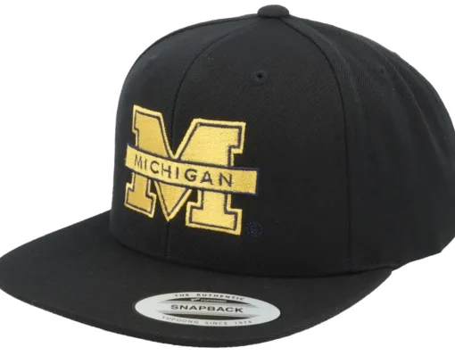 Snapback-Park Fields Michigan Wolverines 3d Logo Tan Snapback - Brown