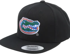 Snapback-Park Fields Michigan Wolverines 3d Logo Tan Snapback - Brown