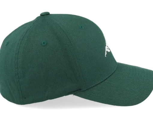 Online Wild Spirit Mountain 3d White/Spruce Flexfit - Green