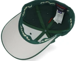 Online Wild Spirit Mountain 3d White/Spruce Flexfit - Green