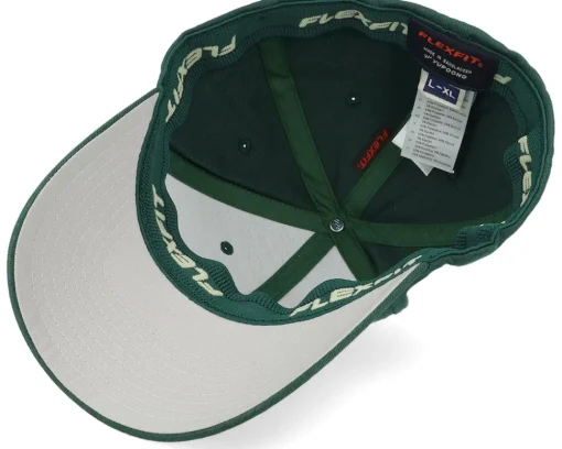 Online Wild Spirit Mountain 3d White/Spruce Flexfit - Green