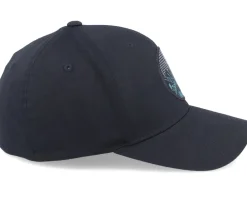 Best Wild Spirit Mountain Valley Sunset Black Flexfit -