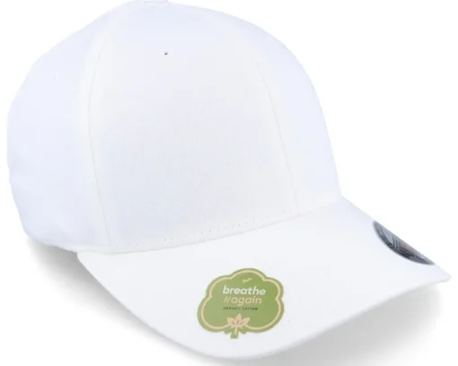 Online Flexfit Organic - Black